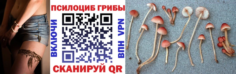 Псилоцибиновые грибы прущие грибы купить цена Дыгулыбгей